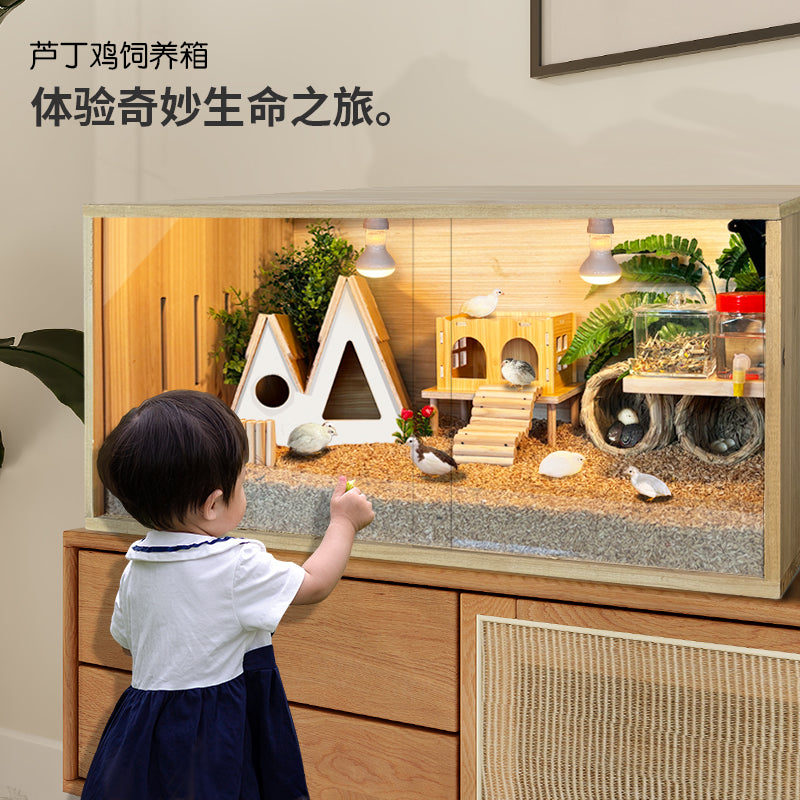芦丁鸡饲养箱笼子卢丁鸡养箱造景宠物小鸡专用箱四季的保温箱鸡窝 40x30x30天窗款 特惠套餐1（1-3只）