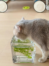 鱼缸式猫碗猫咪骗水神器狗狗高脚水碗保护颈椎不易打翻2025年新款 雪山鱼缸【时尚可爱】