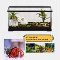 家用养螃蟹乌龟专用缸造景迷你透明乌龟缸寄居蟹辣椒蟹饲养缸生态 中号30【裸缸】无盖/带爬台