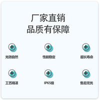 上海亚明高压钠灯NG70W100W250W400W1000W灯泡直管黄光纳灯NG250 亚明高压钠灯100W黄光 E27