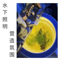 古法鱼缸鱼池专用水下防水LED灯带IP68实心硅胶灯条自粘24V户外