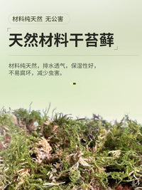 乌龟冬眠土爬宠椰土免泡型巴西龟草龟过冬窝沙土箱保暖苔藓饲养箱