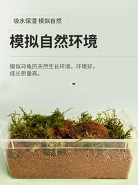 乌龟冬眠土爬宠椰土免泡型巴西龟草龟过冬窝沙土箱保暖苔藓饲养箱