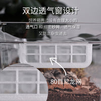 鼠妇饲养盒饲养箱西瓜虫饲养盒鼠妇生态缸鼠妇饲养套餐西瓜虫饲养