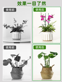 龟背竹支撑杆植物园艺固定神器花支架金钱树绿植花卉防倒伏花架