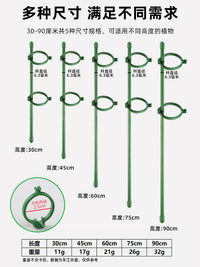 龟背竹支撑杆植物园艺固定神器花支架金钱树绿植花卉防倒伏花架