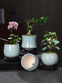 特价陶瓷古韵小型花盆盆景创意文竹简约绿萝兰花菖蒲多肉盆栽带托