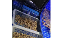PVC Aquarium Waterfall Oxygenation Waterfall Outlet Oxygenating Water Flow