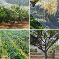 Orchard Fish Pond Anti-Bird Netting for Garden Vineyard Farmland Bird Control and Repellent