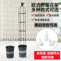 Garden Rose Vine Climbing Trellis Plant Support for Clematis Wisteria Balcony European Style