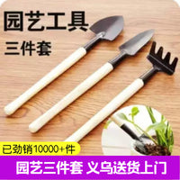 Mini Succulent Plant Garden Tool Set - 3 Pieces for Home Potted Plants and Gardening