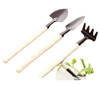 Mini Succulent Plant Garden Tool Set - 3 Pieces for Home Potted Plants and Gardening
