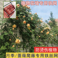 Rose Climbing Trellis Netting, Wall-Mounted Plant Support for Climbing Roses, Vines, and Flowers