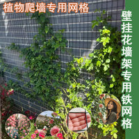 Rose Climbing Trellis Netting, Wall-Mounted Plant Support for Climbing Roses, Vines, and Flowers