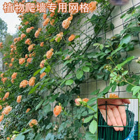 Rose Climbing Trellis Netting, Wall-Mounted Plant Support for Climbing Roses, Vines, and Flowers