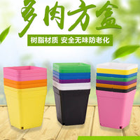 Succulent Plant Pots 10cm Plastic Nursery Pots with Colorful Planting Trays and Holders Set