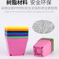 Succulent Plant Pots 10cm Plastic Nursery Pots with Colorful Planting Trays and Holders Set