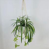 Boho Wood Bead Plant Hanger Macrame Wall Decor for Indoor Outdoor Plants, Creative Tassel Flower Pot Hanging Basket