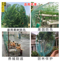 Bird Netting for Orchard Garden Protection, Anti-Bird Mesh for Fruit Trees, Cherry, Grape, Poultry Enclosure