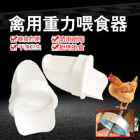 Automatic Poultry Feeder for Chickens and Ducks, Gravity-Fed Rainproof Dispenser