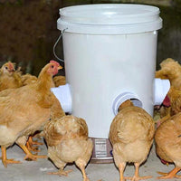 Automatic Poultry Feeder for Chickens and Ducks, Gravity-Fed Rainproof Dispenser
