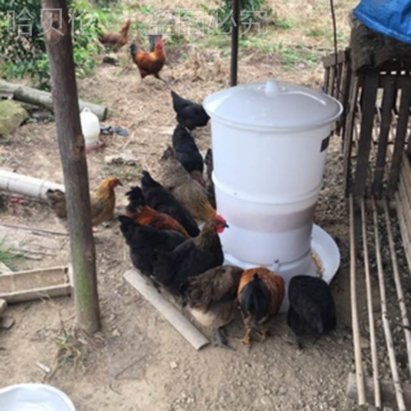 Automatic Poultry Feeder Outdoor Chicken Farming Equipment Remote Timed Feeding Machine
