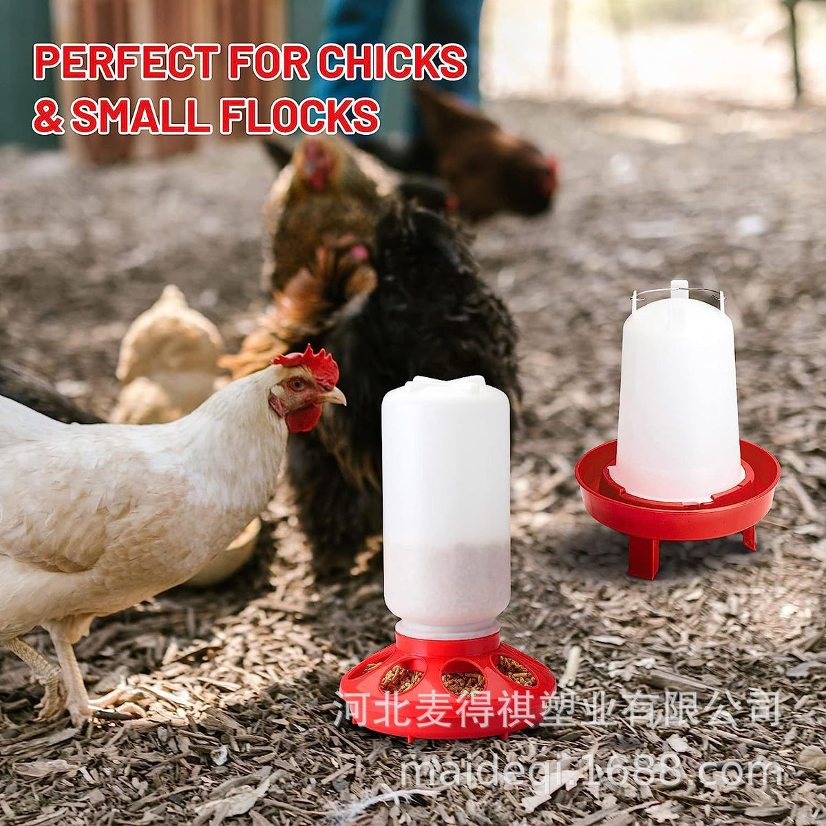 Automatic Poultry Feeder and Waterer Set for Chickens, Ducks, and Geese - Large Capacity Drinker and Feeder Trough