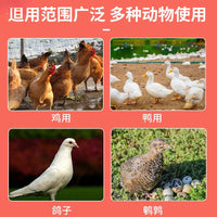 Automatic Poultry Feeder Kit Anti-Bird Chicken Duck Goose Feeder Bucket for Farm Animals