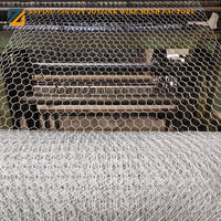 Hexagonal Wire Mesh Fencing for Chicken Coops and Garden Protection, Galvanized Steel Netting for Poultry and Animal Enclosures