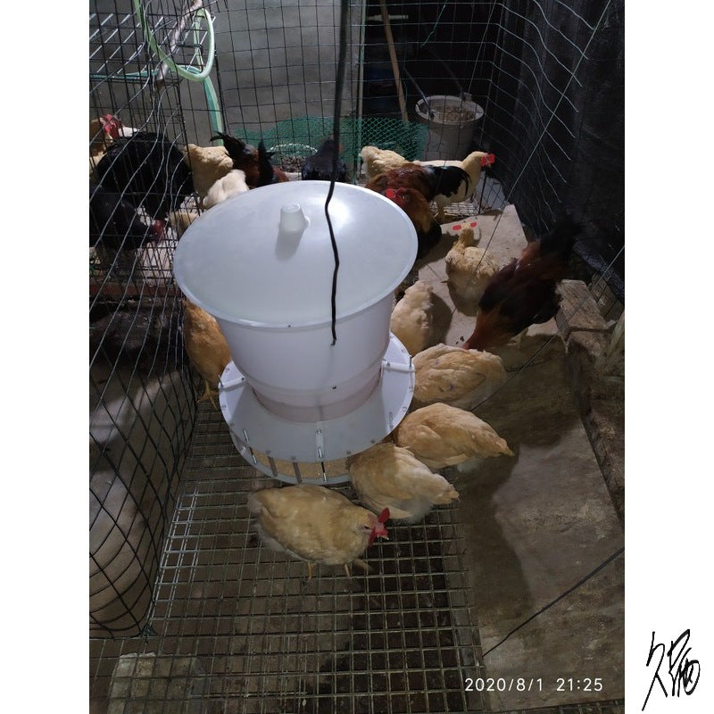 Automatic Chicken Feeder with Timer Control, Quail Feeder, Poultry Food Dispenser for Farm