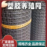 Plastic Poultry Fencing Mesh, Geogrid for Orchard and Fish Pond Protection, Duck and Goose Isolation Net, Corn Enclosure