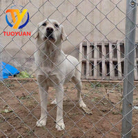 Galvanized Iron Wire Mesh Fence for Poultry, Livestock, and Orchard Protection - Diamond Chain Link Fencing