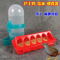 芦丁鸡喂食器鸽子鹌鹑饮水器小雏鸡饮水器食饲料盒自动喂鸡