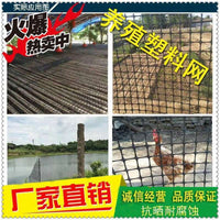 Plastic Poultry Fencing Netting for Balcony Protection, Isolation, Chicken, Duck, Peacock Enclosure, and Manure Leakage Prevention