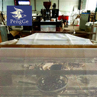 PE Plastic Flat Net for Poultry Farming - Chicken, Duck, Leak-Proof Breeding Net