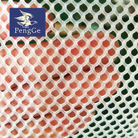 PE Plastic Flat Net for Poultry Farming - Chicken, Duck, Leak-Proof Breeding Net