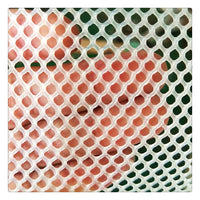 PE Plastic Flat Net for Poultry Farming - Chicken, Duck, Leak-Proof Breeding Net