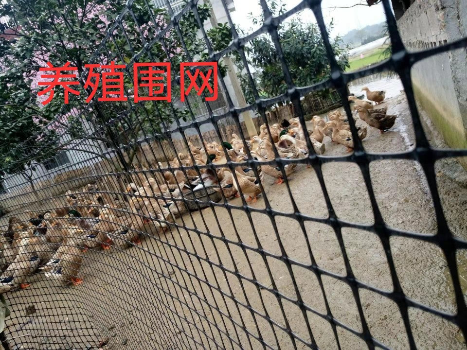 Thickened Plastic Poultry Netting Fence Protective Net Farm Isolation Net Garden Protection Net Orchard Enclosure Direct Sale