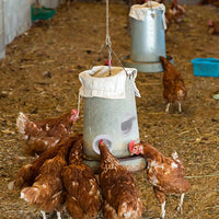 第二代新款Poultry Pro Feeder DIY喂鸡器端口防雨家禽喂食器