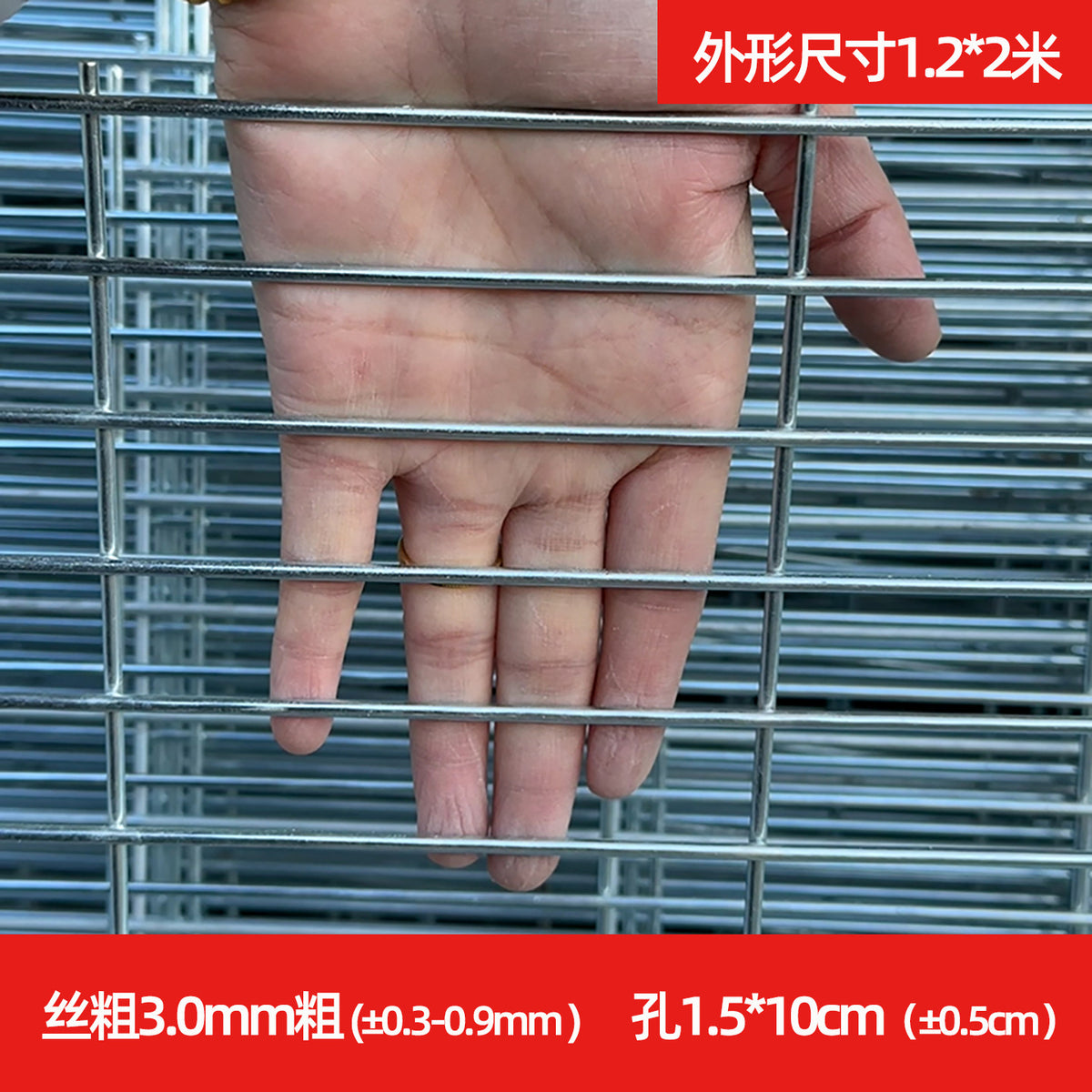 Galvanized Welded Wire Mesh Panel for Pigeon Lofts, Dog Cages, and Fencing - Heavy Duty Rust-Resistant Protection Net