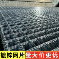 Galvanized Welded Wire Mesh Panel for Pigeon Lofts, Dog Cages, and Fencing - Heavy Duty Rust-Resistant Protection Net