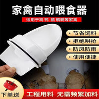 Automatic Poultry Feeder for Chickens and Ducks - Large Capacity Anti-Scatter Design