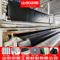 HDPE Geomembrane Liner for Landfill, Biogas Digester, Oxidation Pond, Tunnel, and Subway Waterproofing