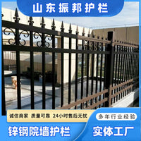 Zinc Steel Courtyard Wall Fence Community Factory Outdoor Iron Art Wall Fence School Anti-climb Protective Railing Barrier