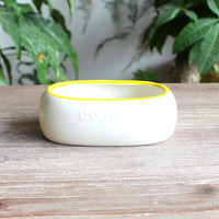 Ceramic Pet Bowl for Food and Water - Ideal for Quail and Small Birds