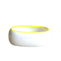 Ceramic Pet Bowl for Food and Water - Ideal for Quail and Small Birds
