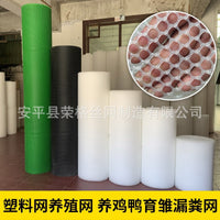 Plastic Flat Mesh for Beekeeping Sericulture Snake Breeding Chicken Duck Goose Rearing Foot-Stepping Leakage Manure Floor Mat Grid