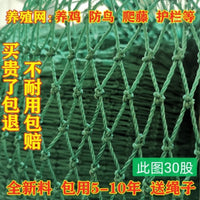 Poultry Netting Chicken Fencing Anti-Bird Nylon Mesh for Garden and Farm Use