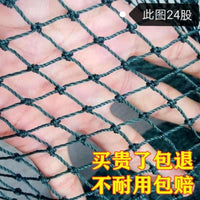 Poultry Netting Chicken Fencing Anti-Bird Nylon Mesh for Garden and Farm Use