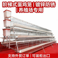 Commercial Layer Chicken Cage for Poultry Farm - Tiered Design for Efficient Egg Production - Export Quality